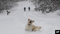Jack Frost seems to have worked his winter magic in North Carolina. On December 9, 2018, over a foot of snow fell in parts of that state creating a winter wonderland. Dawn and Mark Lundblad with their dog Josie walk in the newly-fallen snow. (AP Photo/Kathy Kmonicek)