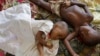FILE - Two children stricken with malaria rest at the local hospital in the small village of Walikale, Congo.