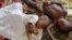 FILE - Two children stricken with malaria rest at the local hospital in the small village of Walikale, Congo.