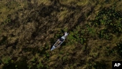 Leech Lake Tribal College students harvest wild rice in Steamboat Bay on Leech Lake in Minnesota, Sept. 12, 2022.