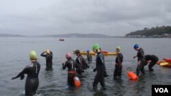 Swimmers enter the water for a mid-October, 1.6 km "excursion" at Alki Beach in Seattle. (VOA / T. Banse)