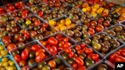 A variety of miniature tomatoes are displayed for sale at a farmers market in Falls Church, Virginia, Aug. 1, 2015. 
