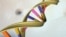 A DNA double helix is seen in an undated artist's illustration released by the National Human Genome Research Institute. For the first time, U.S. scientists have successfully edited genes of human embryos.