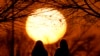 ARCHIVO - Personas miran la puesta de sol en un parque en un día inusualmente cálido, el 25 de febrero de 2024, en Kansas City, EEUU. 