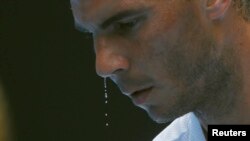 Petenis Spanyol Rafael Nadal meneteskan peluh dalam pertandingan Australia Terbuka. Ambisi Nadal kembali menjadi pemain No. 1 dunia terhenti setela dikalahkan remaja Kanada dalam turnamen Montreal Masters, Kamis (10/8). (Foto:dok)