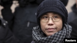 Liu Xia, the wife of Chinese dissident Liu Xiaobo, talks to the media in Beijing February 11, 2010. 