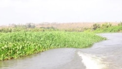 "De África para América - A Odisseia da Escravatura"