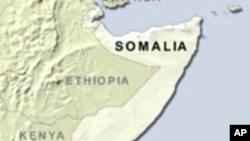 Saudi Arabia Resumes Livestock Trade with Somalia