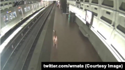 Фото з Twitter @wmata