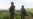 Military Offensives Free DRC Villages