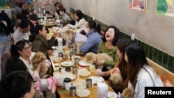 中国上海的宠物狗主人们在一家餐馆给爱犬过春节聚餐会。(2025年1月25日)
