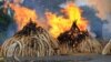 Kenya Sets Tons of Ivory Aflame in Bid to Stop Elephant Poaching