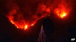 A photo provided by the Santa Barbara County Fire Department, with flames burning behind it, shows a lone Christmas tree standing in the front yard of an evacuated home in Carpinteria, Calif., Dec. 11, 2017. 