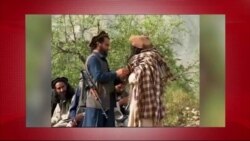 د ډیوه د روانو چارو خپرونه په ټي وي
