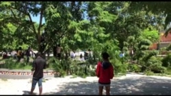 Protesters use machetes to cut down tree branches for their makeshift barricade to block the entrance to the National Palace in Port-au-Prince, Haiti, Oct. 31, 2019. (Photo: Matiado Vilme)