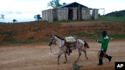 FILE - In this May 23, 2013 photo, a resident of Belle Anse returns home from the market in Haiti. A drought the year before destroyed key crops, followed by flooding from Tropical Storm Isaac and Hurricane Sandy.