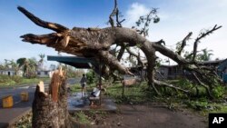 Two boys are under a bus shelter that is supporting a fallen tree in the village of Talecake, Fiji, Wednesday, Feb. 24, 2016.