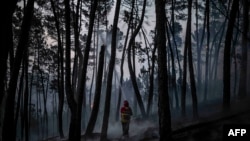 Seorang petugas pemadam kebakaran berusaha memadamkan kebakaran hutan di Casais do Vento di Alvaiazere, 10 Juli 2022. Sekitar 1.500 petugas pemadam kebakaran diturunkan untuk memadamkan tiga kebakaran hutan yang berlangsung lebih dari 48 jam di Portugal tengah dan utara.