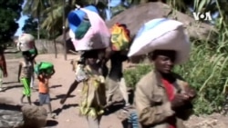 Escaping Cabo Delgado's Nightmare
