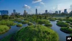 Thailand Urban Oasis
