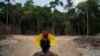 HRW Urges Brazil’s Da Silva to Develop ‘Concrete Measures’ to Protect Amazon