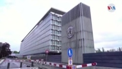 OMS analiza amenaza sanitaria por viruela del mono