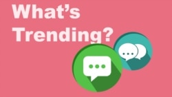 Artistic Pig Brings Home the Bacon