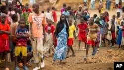 FILE - Refugees are seen gathered at Minawao Refugee Camp in northern Cameroon, April 18, 2016. 