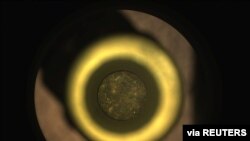 Perseverance's first cored sample of Mars rock is seen inside a sealed titanium sample tube, at Jezero Crater, Mars, September 6, 2021. (NASA/JPL-CALTECH/Handout via Reuters)