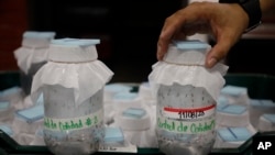 Edgard Boquín, a project leader working with Doctors Without Borders, holds a glass jar filled with mosquitoes before their release in neighborhoods rife with dengue, in a facility in Tegucigalpa, Honduras, Aug. 22, 2023.