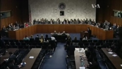 Маккейн : Росія захоплює Україну, а Обама не бачить?