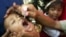 FILE - An Indonesian boy is given polio vaccine in Jakarta, Indonesia, Nov. 30, 2005.