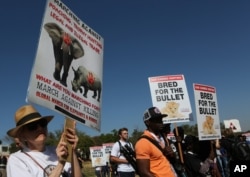 FILE - Activists march at the site of the Convention on International Trade in Endangered Species of Wild Fauna and Flora (CITES) in Johannesburg, South Africa, Sept 24, 2016.