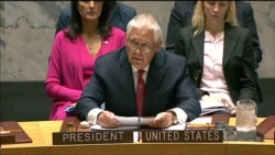 Tillerson: Failing To Act Now on N. Korea May Bring 'Catastrophic Consequence'