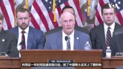 卸了“这支上了膛的枪”，众院中共问题特设委员会呼吁迅速打破中国稀土垄断