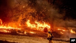 A firefighter passes flames while battling the Glass Fire in a Calistoga, Calif., vineyard Oct. 1, 2020.