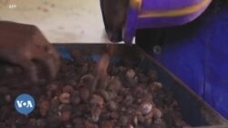 Burkina Faso fanga ye a latige ka sikolo bɔli dabila waati dɔɔni