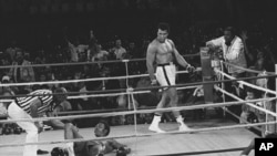 Referee Zack Clayton counts out George Foreman in round 8 of a title bout with Muhammad Ali, in Kinshasa, Zaire, Oct. 30, 1974. 