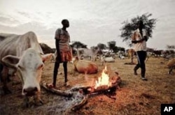 Dinka cattle herdsmen in Abyei.