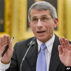 Dr. Anthony Fauci, director of the National Institute of Allergy and Infectious Diseases (file photo)