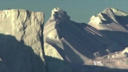 Study: One in Six Species Threatened with Extinction