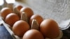 New US Dietary Recommendations say Eggs are OK