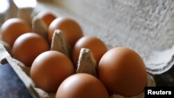 FILE - Brown eggs are shown in their carton in a home in Palm Springs, California, Aug. 17, 2015.