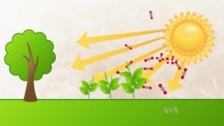 What You Need to Know About Climate Change