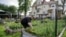 Urban gardener Jo Bartikoski picks dill from her garden patch at the Dundee community garden in Omaha, Nebraska, May 29, 2014. 