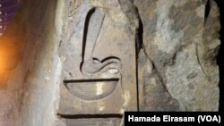 A close-up of the carvings found on the colossus discovered few days ago that almost certainly depicts Psamtik I in the Egyptian Museum Cairo, March 14, 2017. (H. Elrasam/VOA)