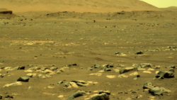 This image was captured by NASA's Mars Perseverance rover using its onboard Right Navigation Camera (Navcam). It was received on Apr. 21, 2021. (Image Credit: NASA/JPL-Caltech)