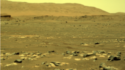 Quiz - NASA Seeks Public’s Help to Train AI for Mars Rovers