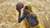As Men Migrate to India's Cities, Female Farmers Seek Land Rights