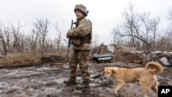 Seorang tentara Ukraina berjalan di garis perbatasan di Donetsk, Ukraina, yang memisahkan wilayah negara tersebut dengan wilayah yang dikuasai kelompok separatis pro-Rusia, pada 10 Januari 2022. (Foto: AP/Andriy Dubchak)